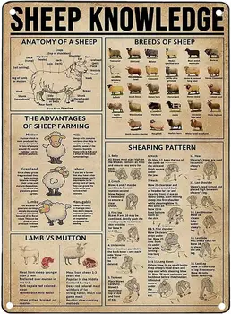 Познаване на овце, Метален Ретро Плакат с принтом, Тенекеджия знаци, Анатомия на Овце, Домашен Офис, Спалня, Пещера За хора, Баня, Хол